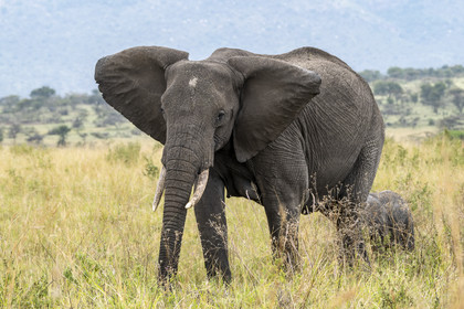0185-tanzanie-2022.jpg