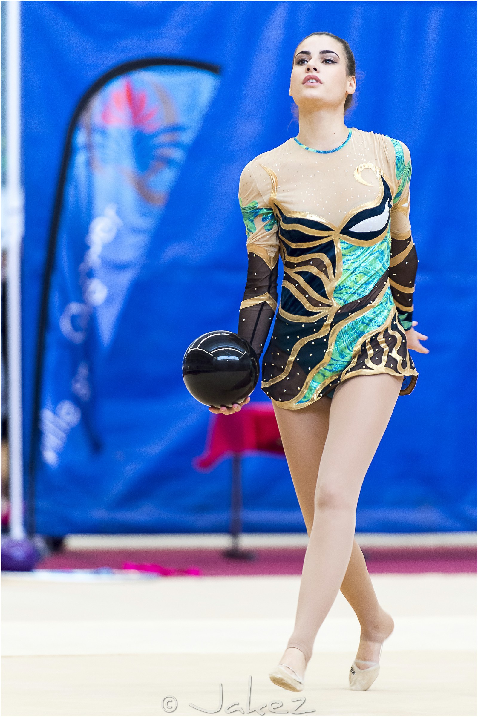 R1-018-04-CHARTIER Marie