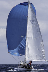 159.jpg