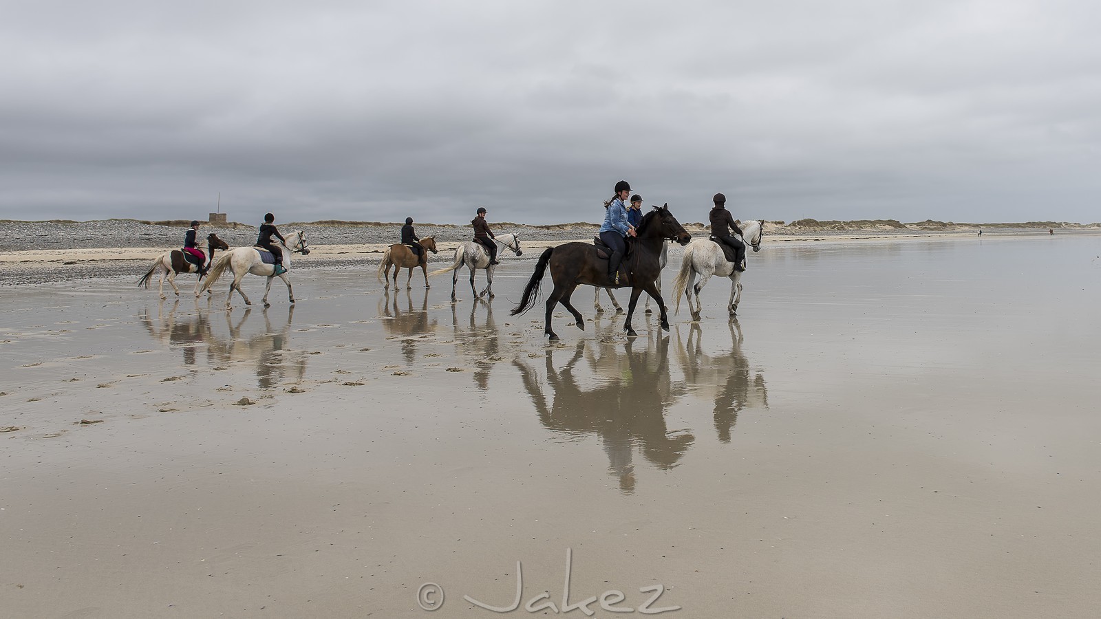 022-chevaux-a-tronoen.jpg