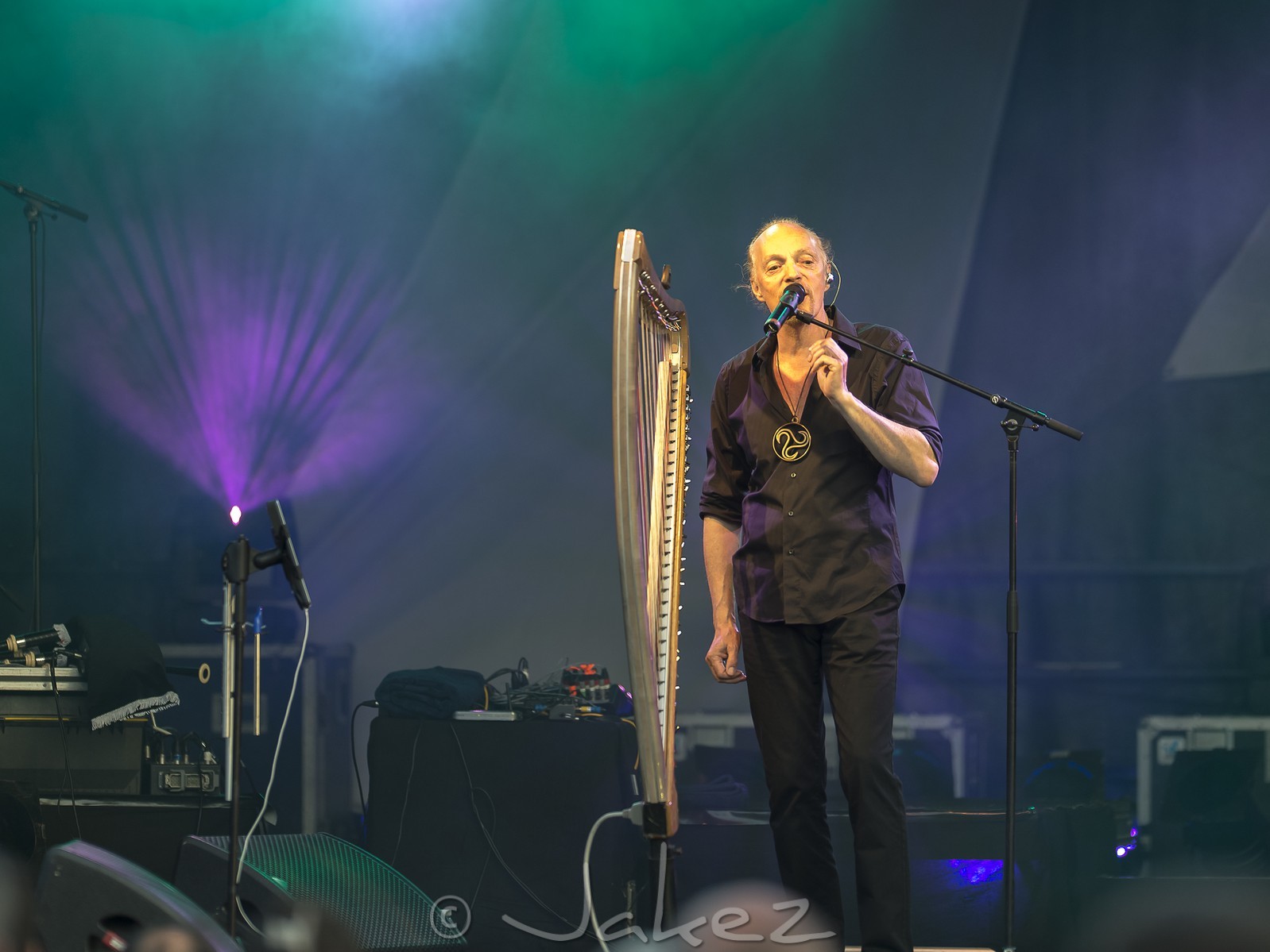 04-Alan Stivell