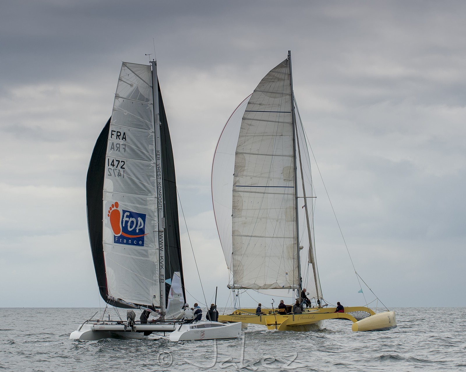 191-multyco-2014.jpg