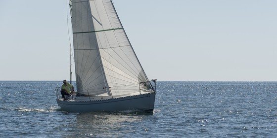 43-Glazigouden