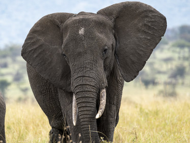 0187-tanzanie-2022.jpg