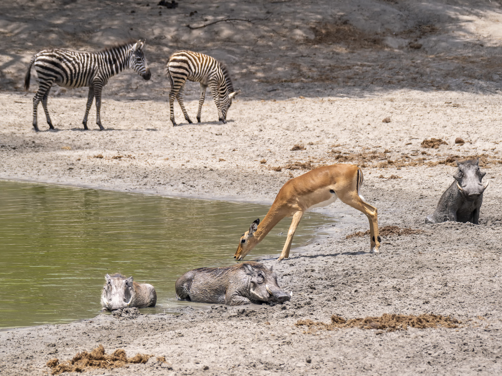 0034-tanzanie-2022.jpg