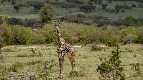 0204-tanzanie-2022.jpg