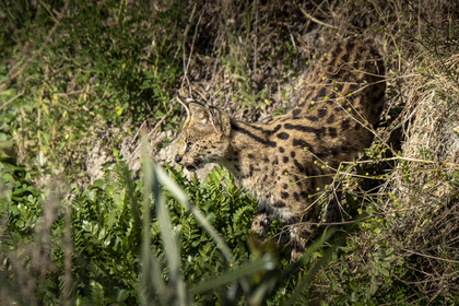 0058-tanzanie-2022.jpg