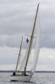 256.jpg