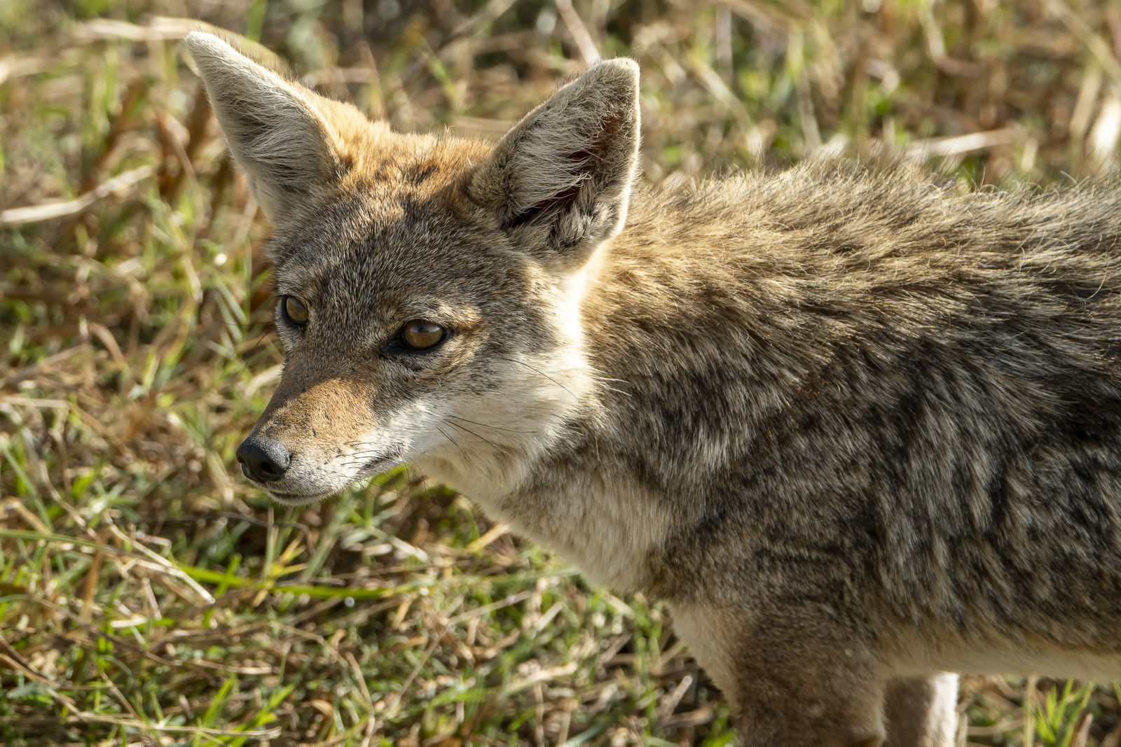 0059-tanzanie-2022.jpg