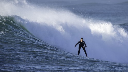 131-la-torche-2015-11-01.jpg