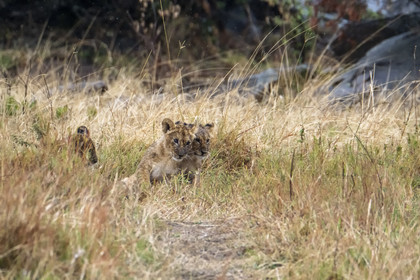 0157-tanzanie-2022.jpg