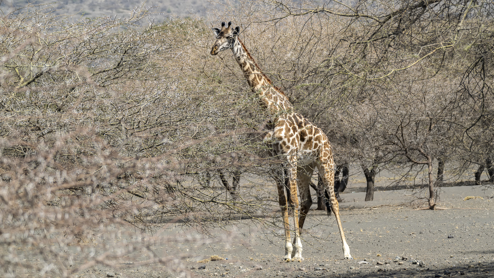 0226-tanzanie-2022.jpg