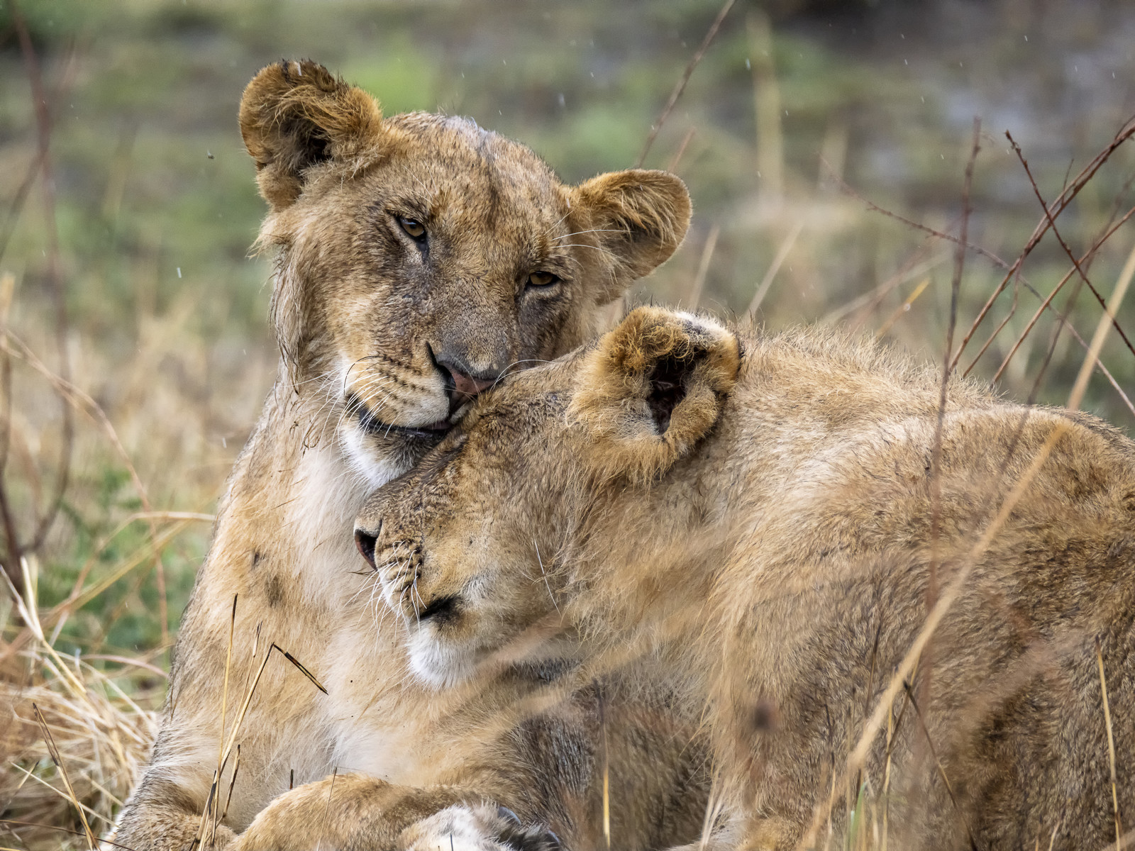 0162-tanzanie-2022.jpg