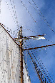 24-etoile.jpg
