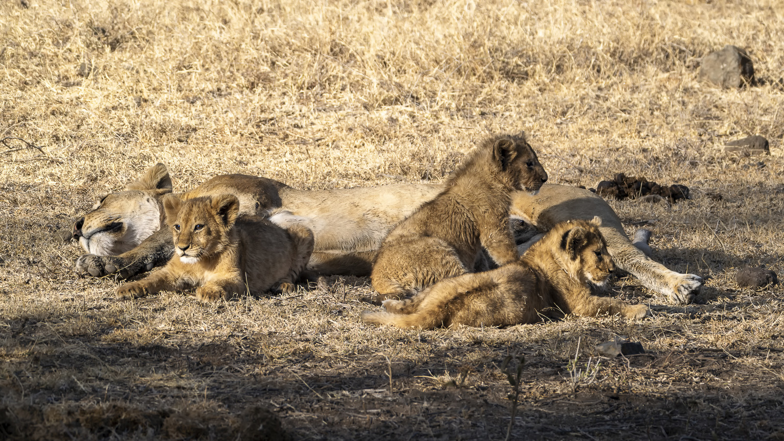 0051-tanzanie-2022.jpg