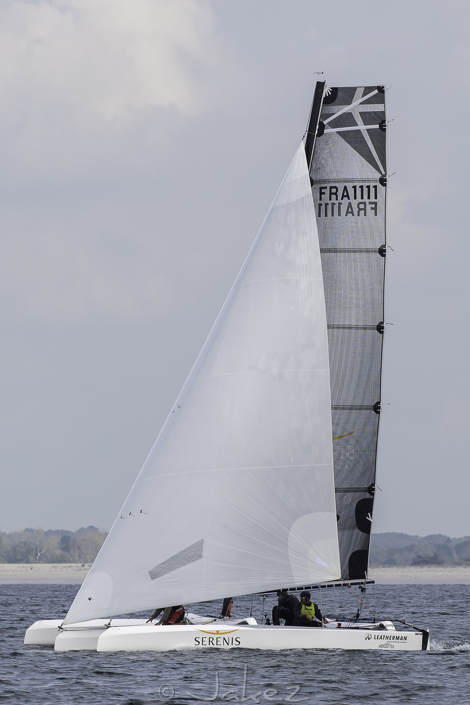 24-multyco-2016.jpg