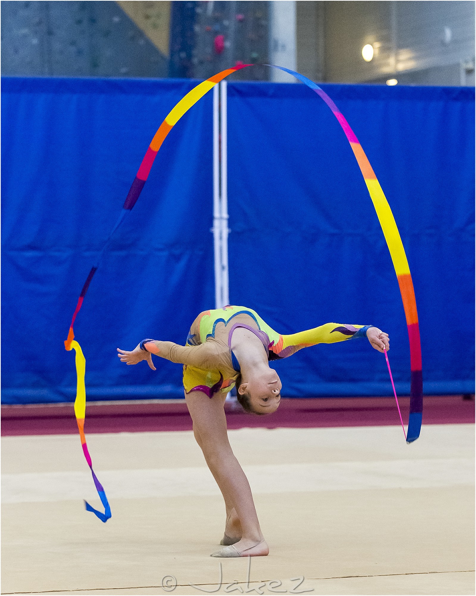 R4-04-35-FRESNEL Lisa