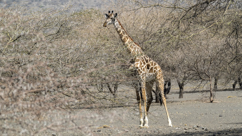 0226-tanzanie-2022.jpg