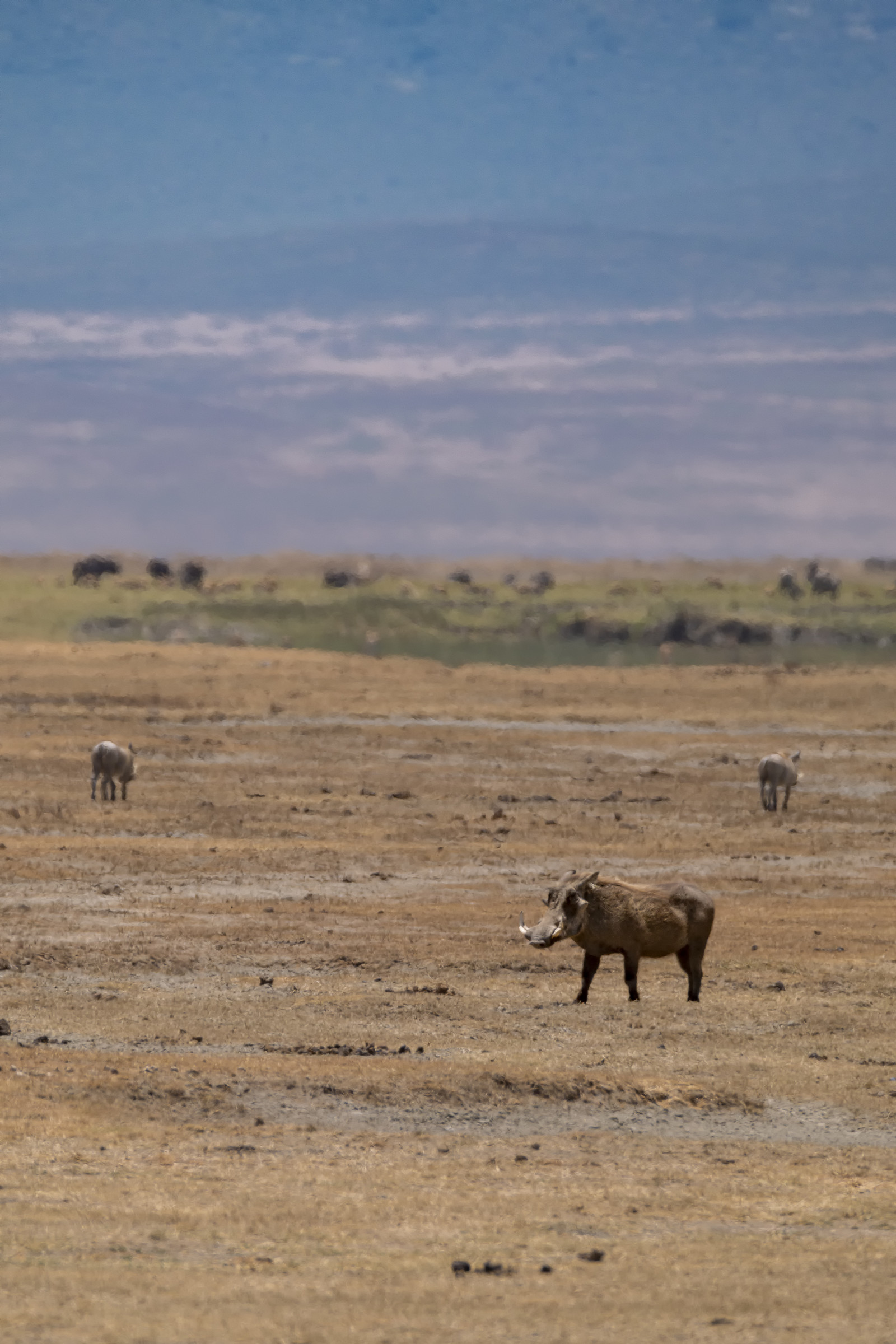 0092-tanzanie-2022.jpg