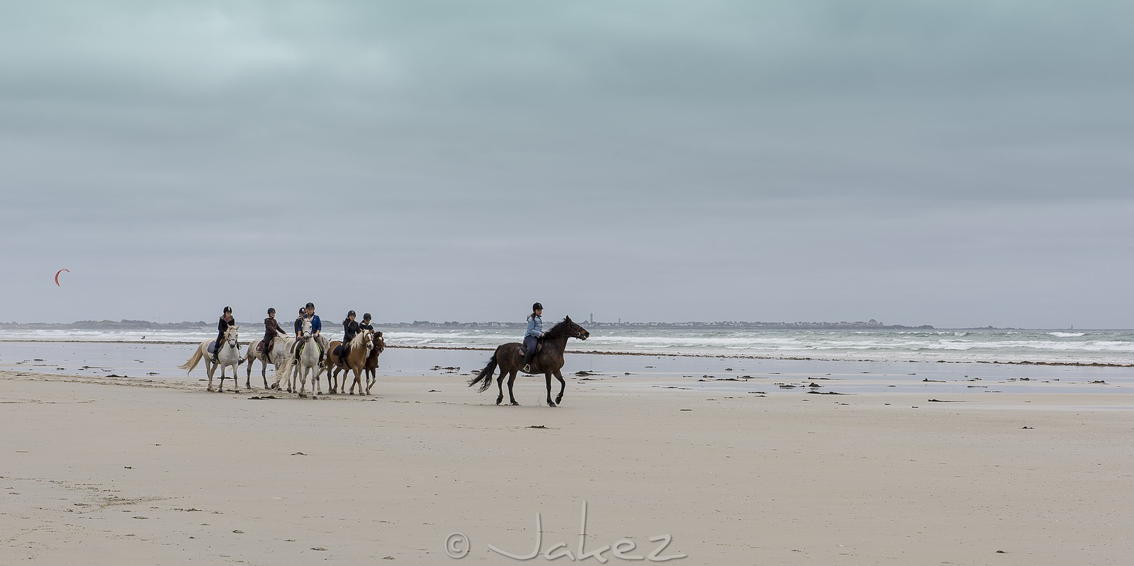 001-chevaux-a-tronoen.jpg