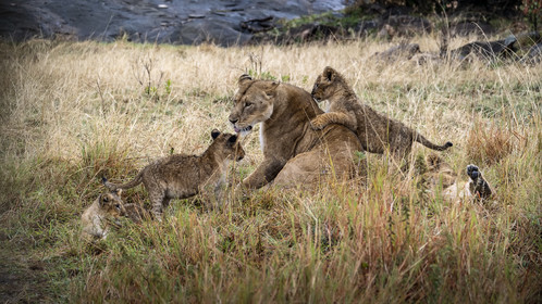 0153-tanzanie-2022.jpg