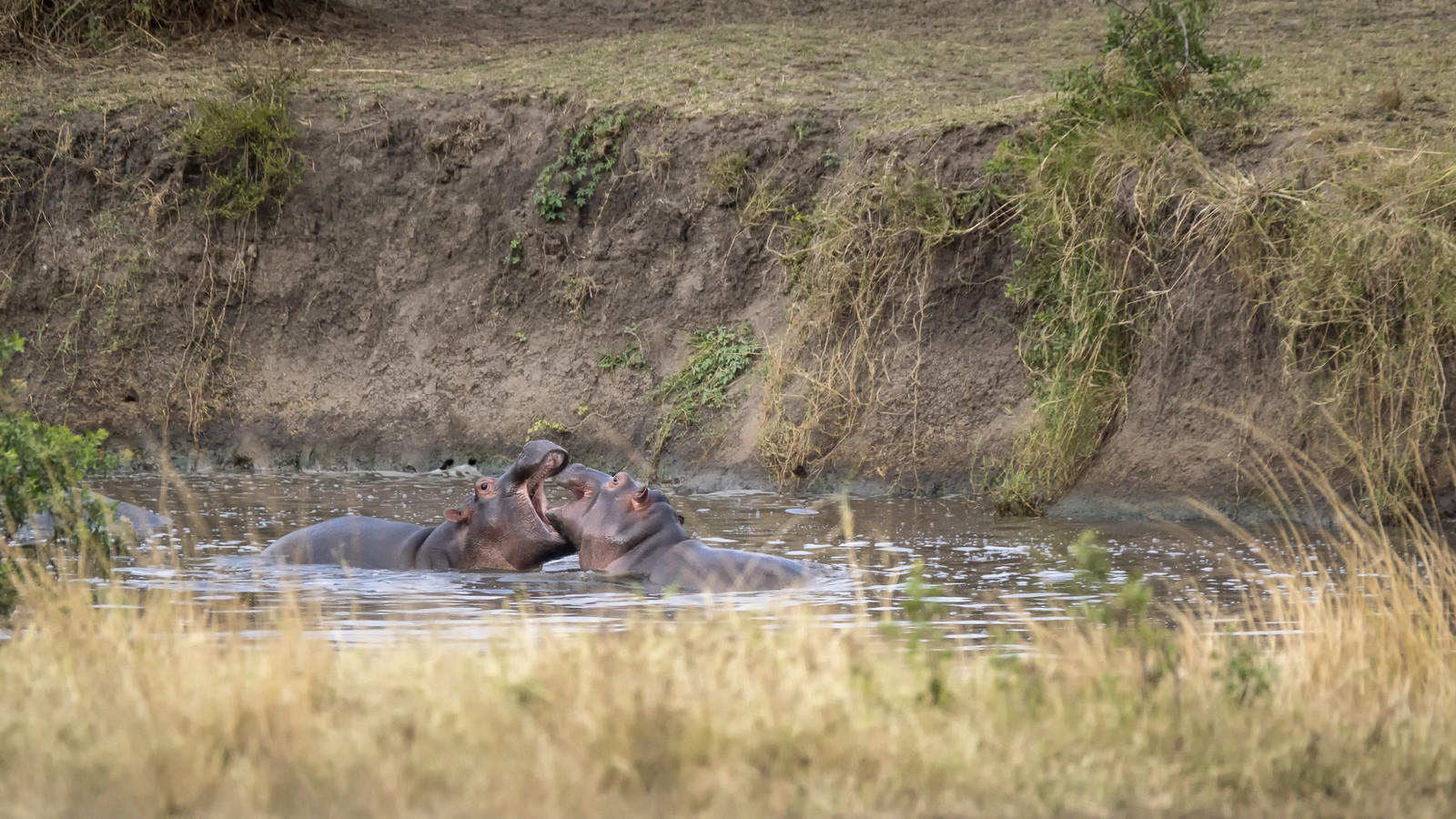 0105-tanzanie-2022.jpg