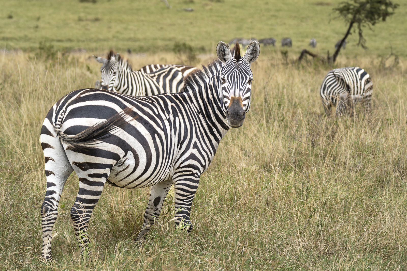 0193-tanzanie-2022.jpg