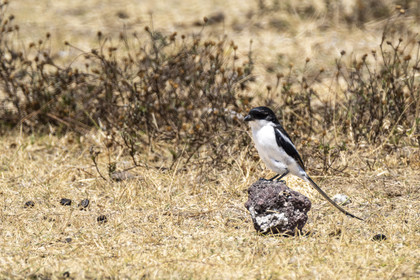 0093-tanzanie-2022.jpg