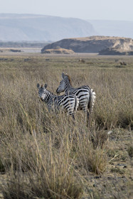0253-tanzanie-2022.jpg