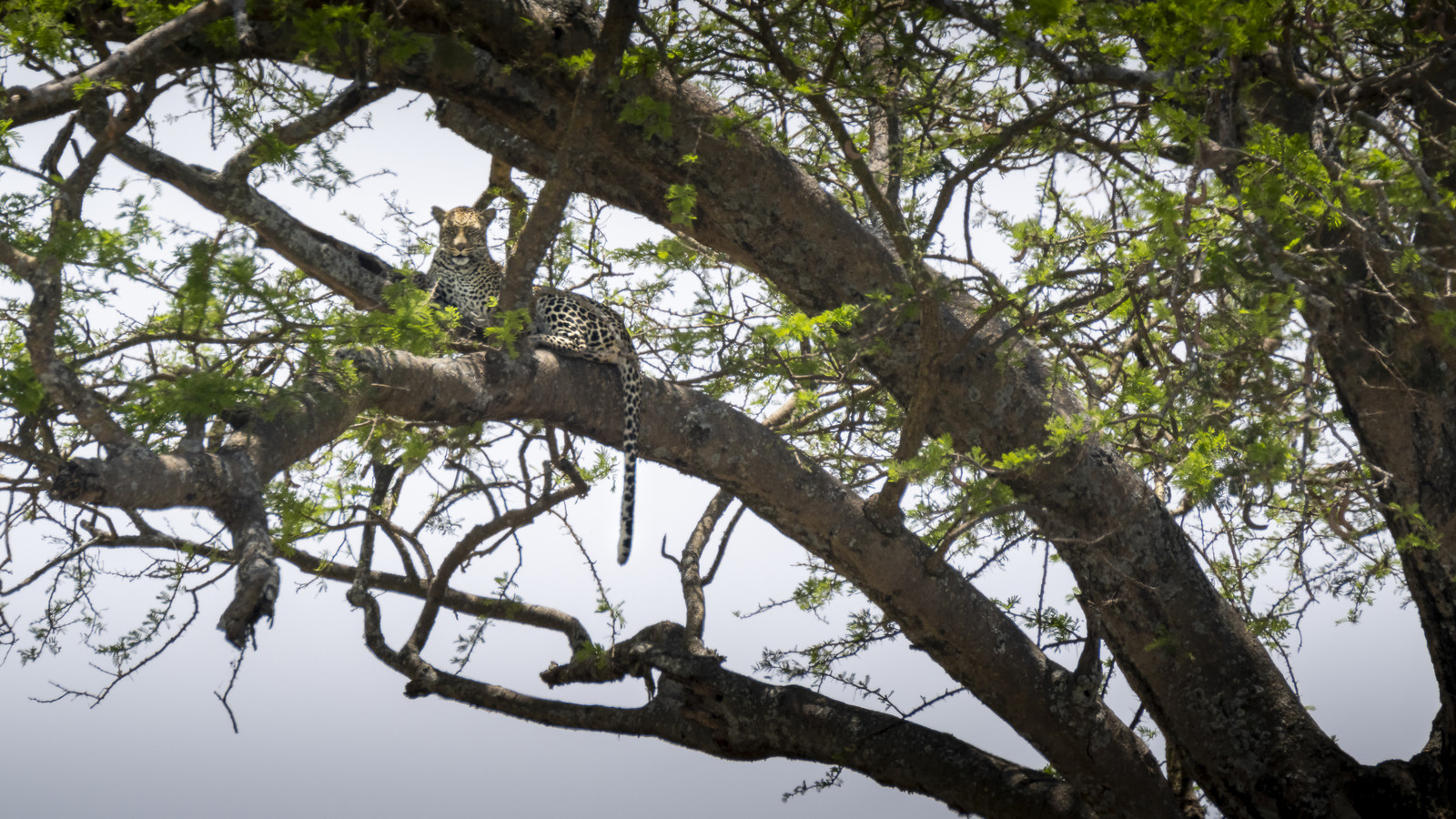 0115-tanzanie-2022.jpg