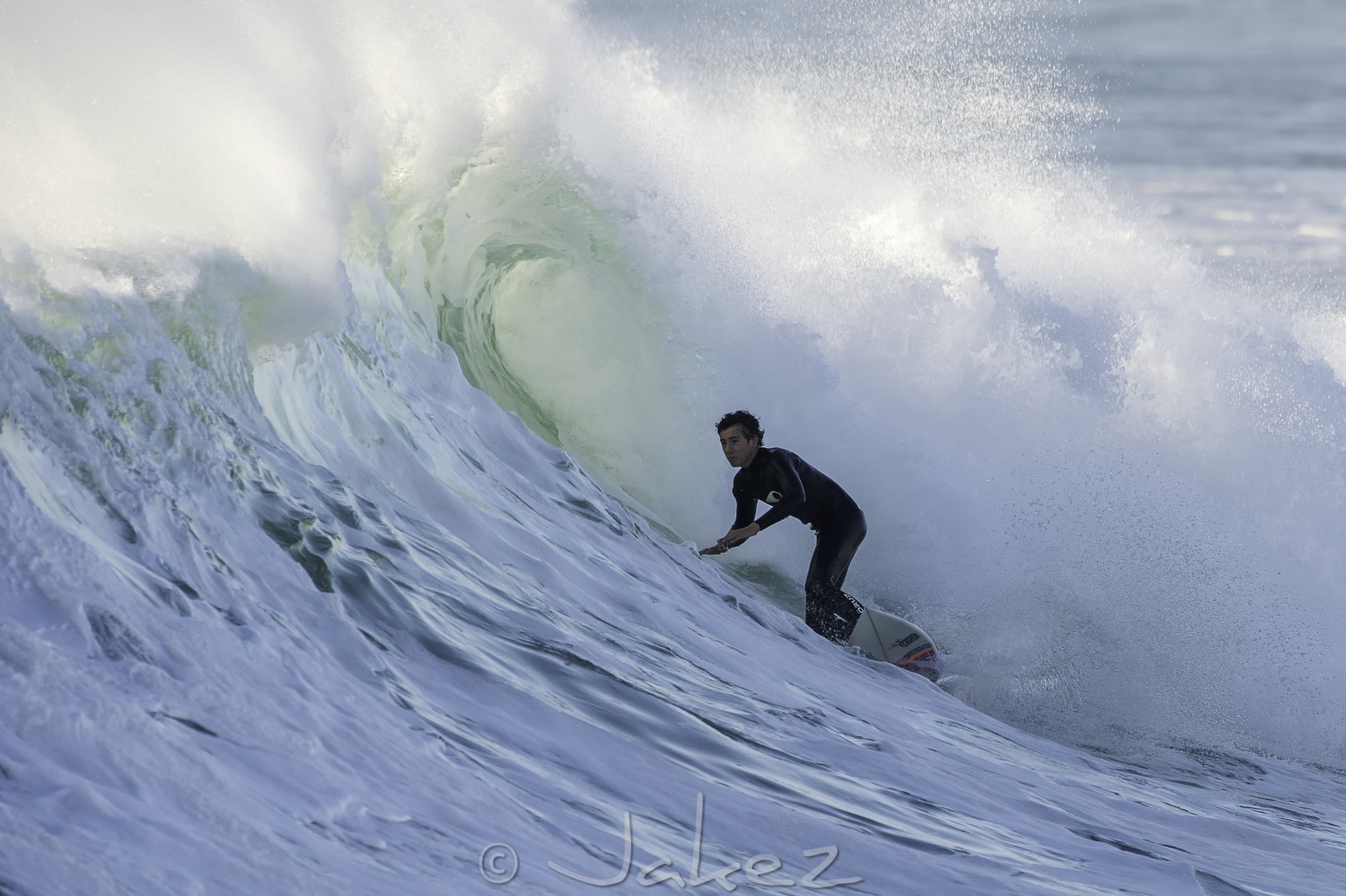 173-la-torche-2015-11-01.jpg
