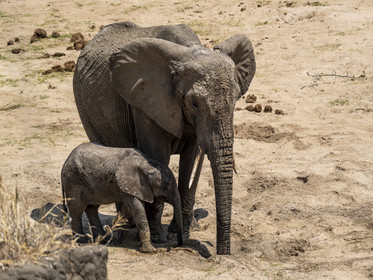 0026-tanzanie-2022.jpg