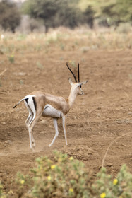 0263-tanzanie-2022.jpg