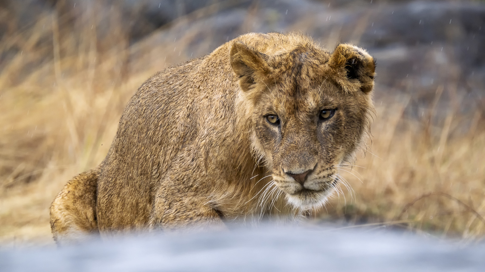 0167-tanzanie-2022.jpg