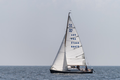459-20062025.jpg