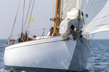 429-20062025.jpg