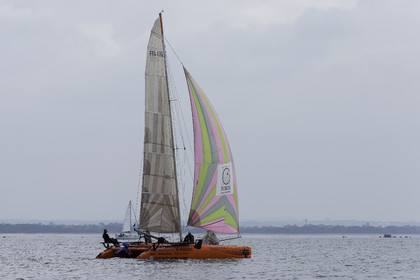 33-multyco-2016.jpg