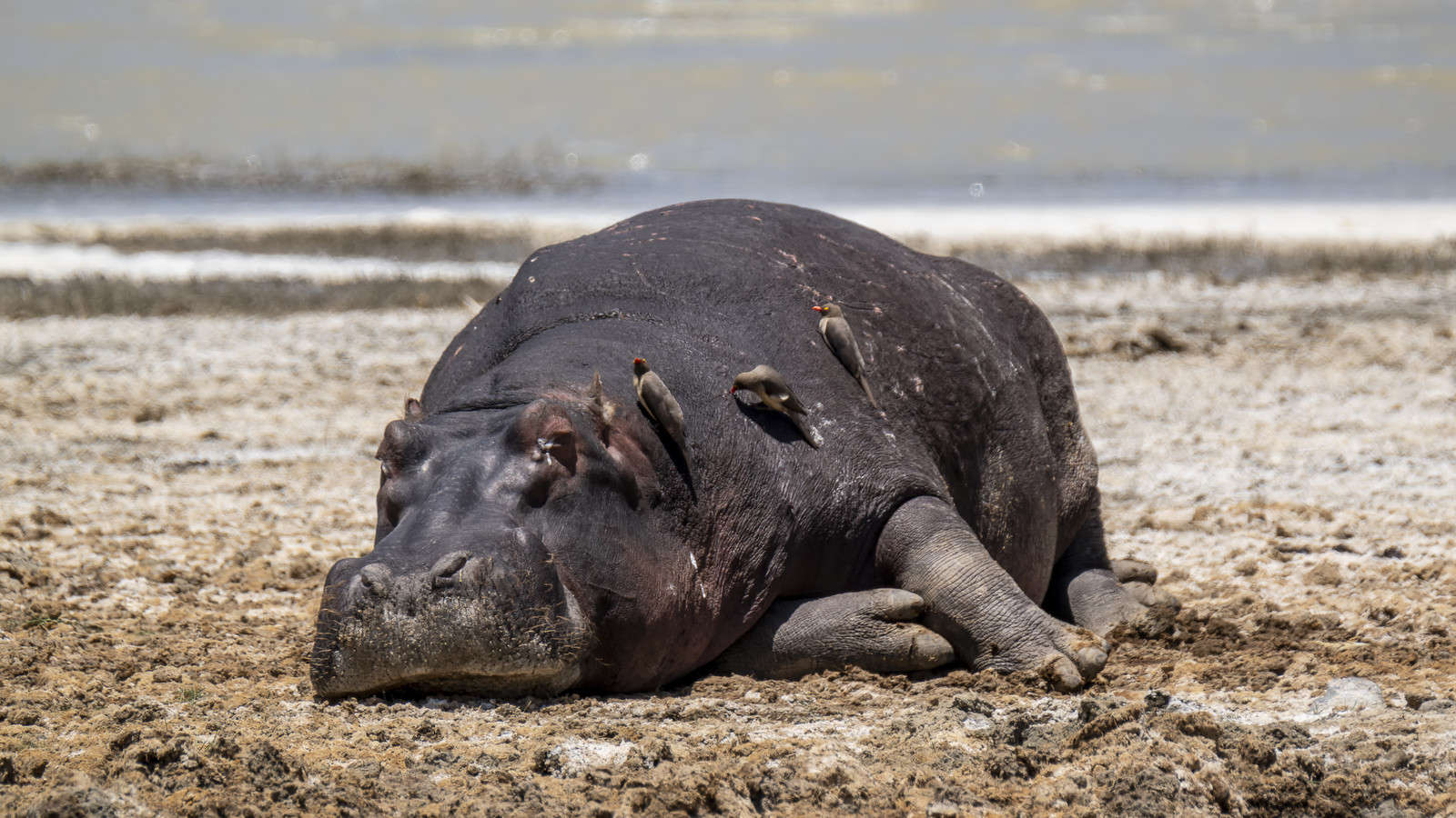 0081-tanzanie-2022.jpg