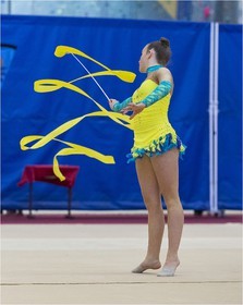 R4-06-14-GUILLET Noemie