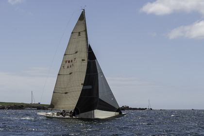 135.jpg
