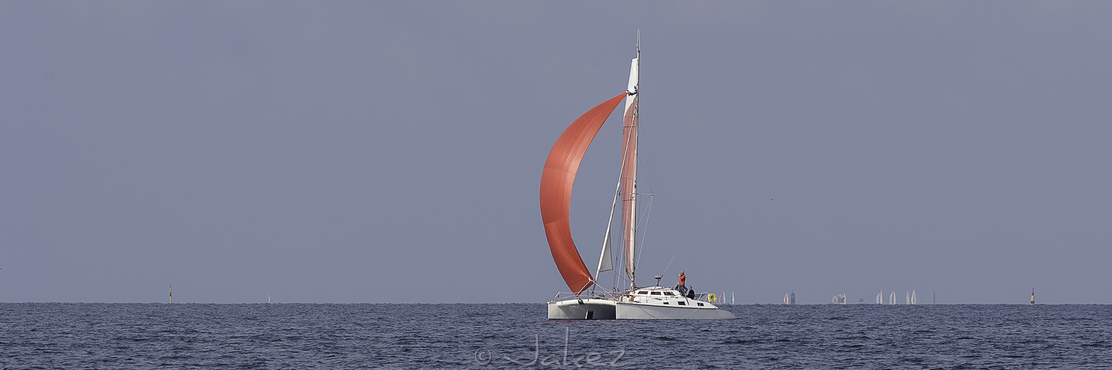 44-multyco-2016.jpg