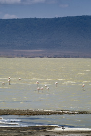 0089-tanzanie-2022.jpg