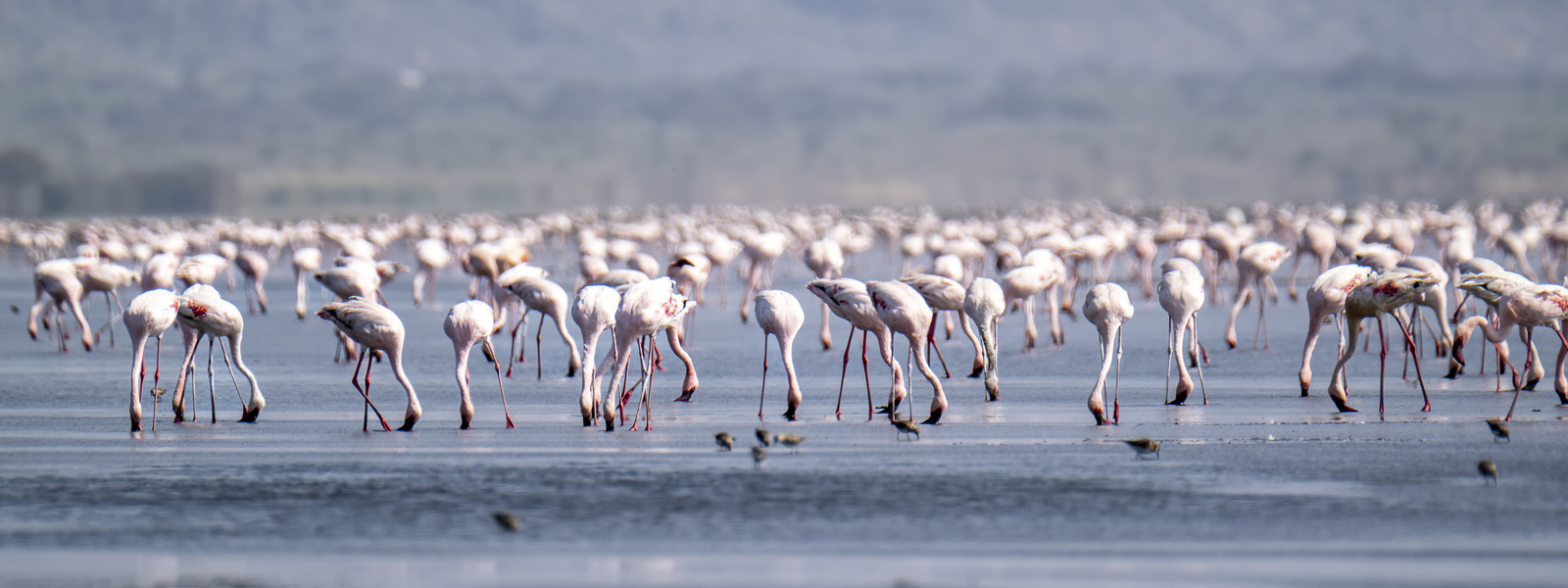 0240-tanzanie-2022.jpg