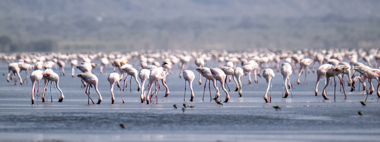 0240-tanzanie-2022.jpg