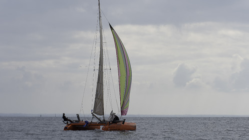 35-multyco-2016.jpg