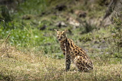 0077-tanzanie-2022.jpg