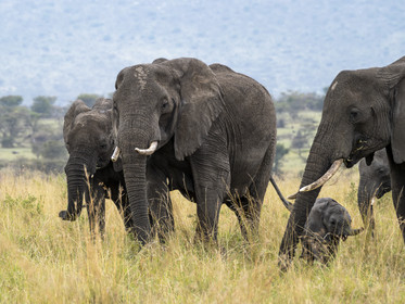 0188-tanzanie-2022.jpg