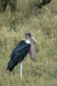 0094-tanzanie-2022.jpg