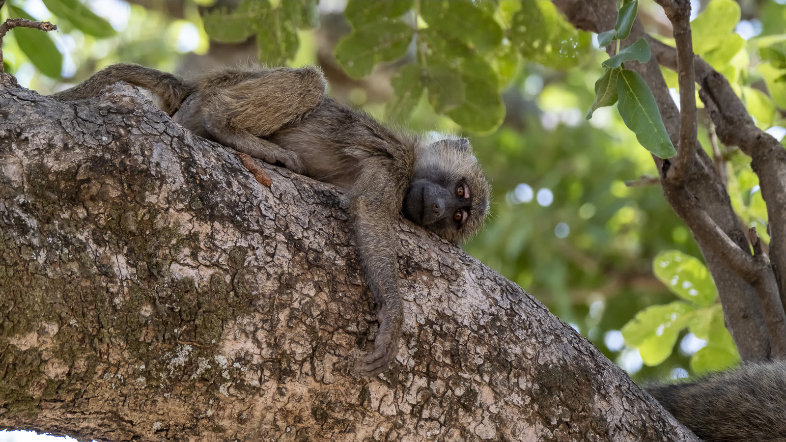 0020-tanzanie-2022.jpg