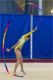 R4-04-34-FRESNEL Lisa